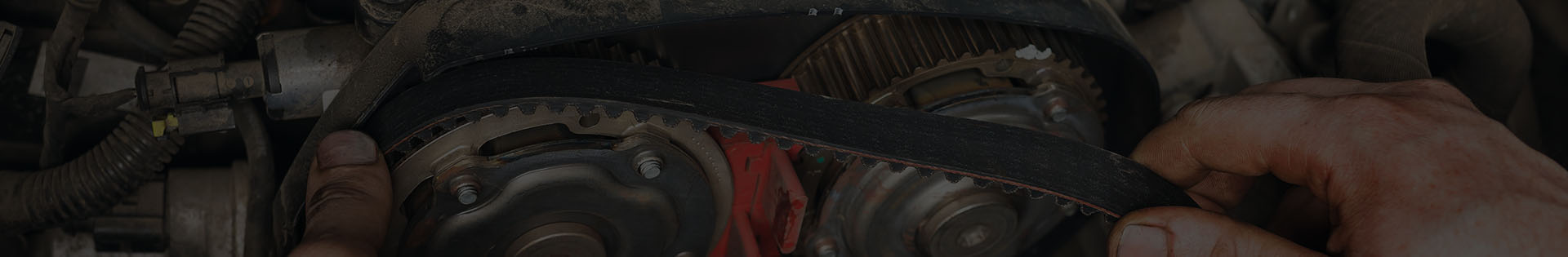 Timing Belt Replacement in Albany, CA - Adams Autoworx Albany